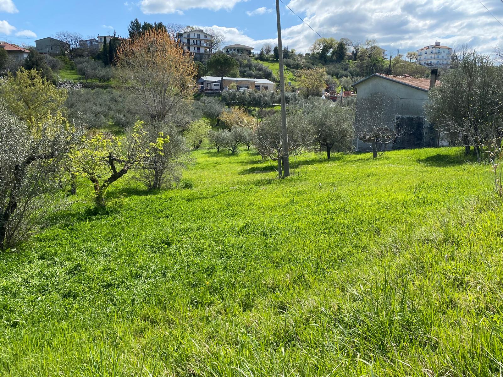 properties
