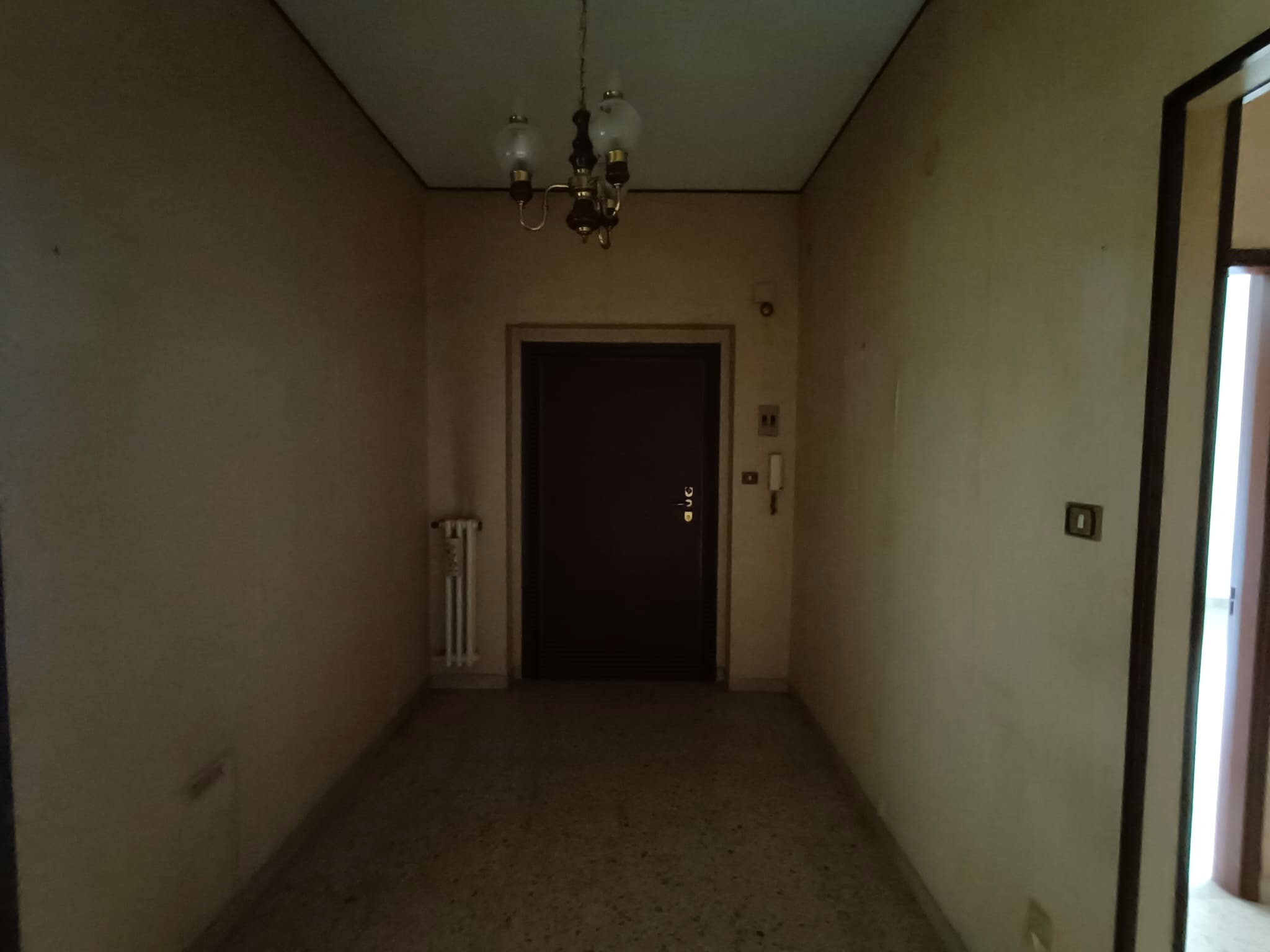 properties