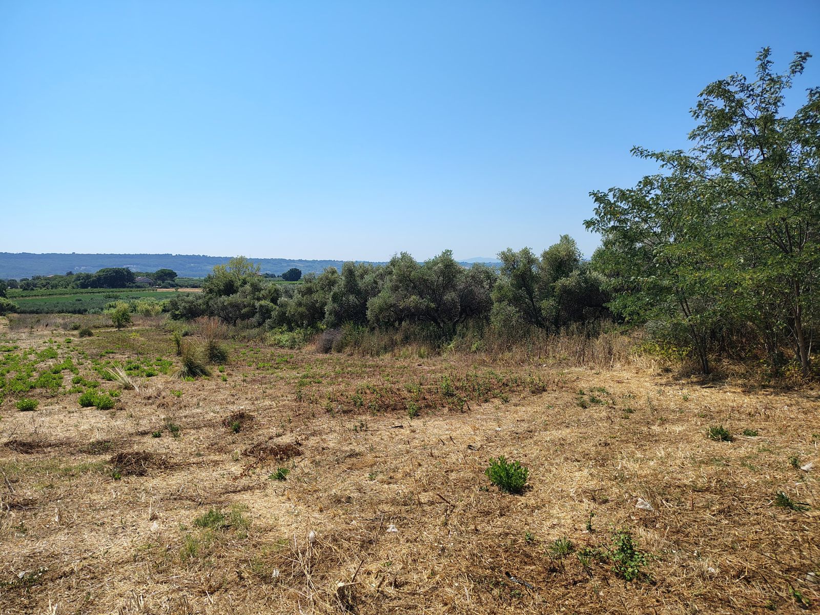 properties