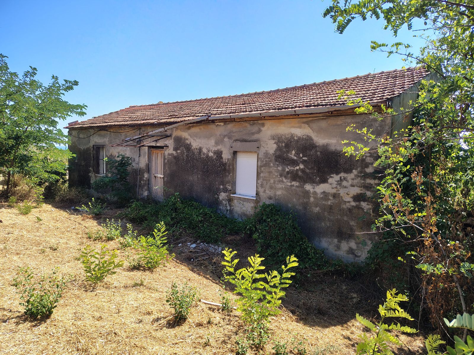 properties